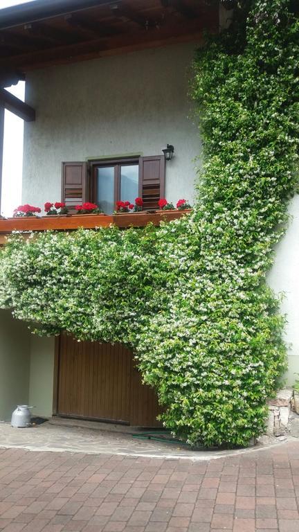 Apartamento La Casa Del Gelsomino Ospedaletto  Exterior foto